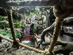 -多彩贵州城极地海洋世界