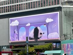 -春熙路步行街