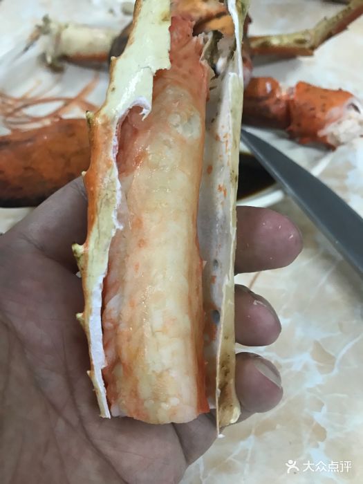 龙虾脚图片 - 第940张