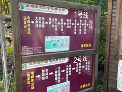 -上海海湾国家森林公园