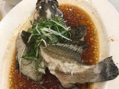 -稻香酒家·33年老字号·港式粤菜(富邦中心店)