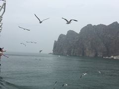 -长岛万鸟岛