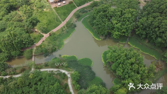 桤木河湿地公园图片