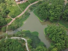 -桤木河湿地公园