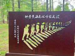 -黄海国家森林公园