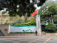 -金鸡山公园