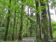 -南岳衡山风景名胜区