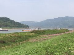 -木洞河街