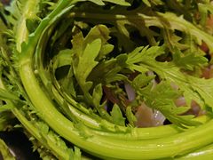 -呷哺呷哺 黄金牧场 (中发百旺店)