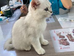 -荔康动物医院(康王北路店)