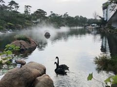 -罗红摄影艺术馆