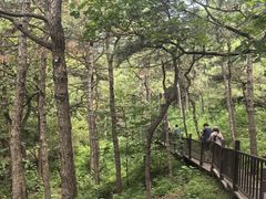-北京十三陵国家森林公园蟒山景区
