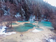 -黄龙山原始森林景区