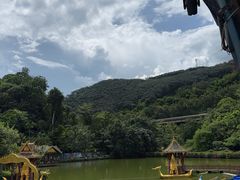 -西双版纳原始森林公园