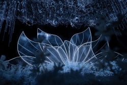 -静安洲际酒店·宴会厅