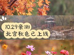 -北宫国家森林公园