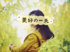 -三里屯东五街银杏大道