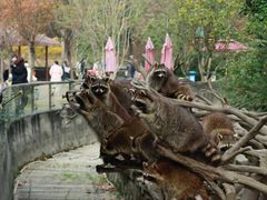 -宁波野生动物园