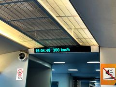 -龙阳路磁悬浮列车总站-停车场