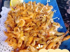 -千岛蚝高压锅生蚝·人参火锅(白云万达店)