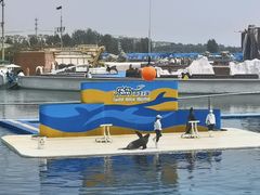 -秦皇岛乐岛海洋王国