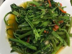 -糖朝(尖沙咀店)