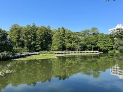 -荔枝公园(福田区)