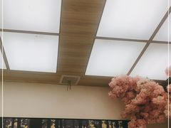 -丁老爷子苏香圆