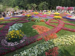 -深圳仙湖植物园