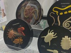 -半岛宠物医院24小时(白果林店)