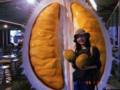 -都念榴莲·城市榴莲