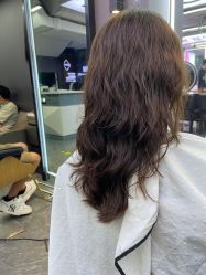 -藤野造型