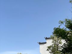 -茯茶镇