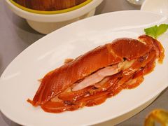 -宏宴·新京菜(望京店)
