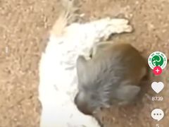 -昆明动物园