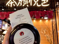 -茶颜悦色(岳麓山顶店)