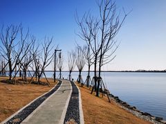 -上海滴水湖皇冠假日酒店