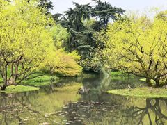 -柳浪闻莺公园
