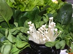 -庄老幺火锅(娄山关路店)