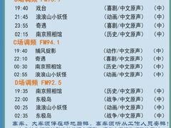 -枫花园汽车电影院(朝阳公园店)