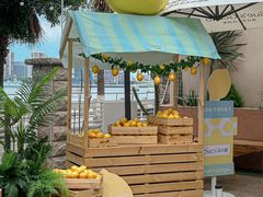 -苏小糖(鼓浪屿三丘田花园店)