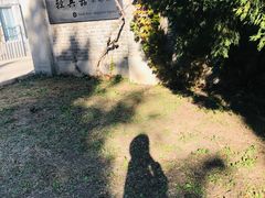 -中国北方国际射击场