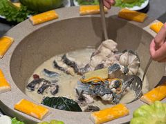 -滇小鱼·云南野生菌火锅(上杭路店)