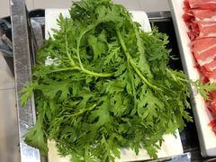 -蒙星月涮肚火锅城(宏运家园店)