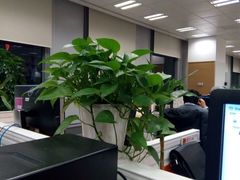 -黔香阁·味(花木店)
