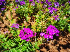 -云峰山自然风景区