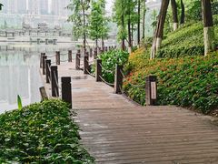 -重庆彩云湖湿地公园