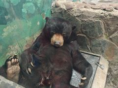 -昆明动物园