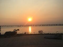 -宝安西湾红树林湿地公园