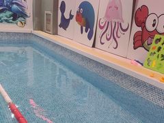 -小蓝鲸游泳培训基地(积水潭店)